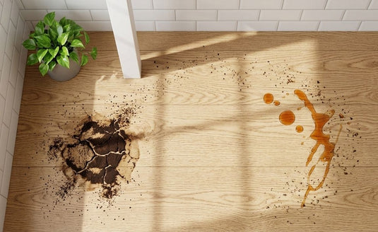 Lightweight and powerful Qimedo cordless mop for effortless whole home floor cleaning.